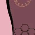 1080x1980-hex-aphone-blank-u_head_tax7660.webp