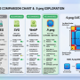 section-image-file_format-infographic-.png