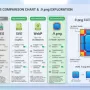 section-image-file_format-infographic-v4-orig.webp