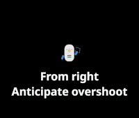 Animation Effect: Anticipate overshoot