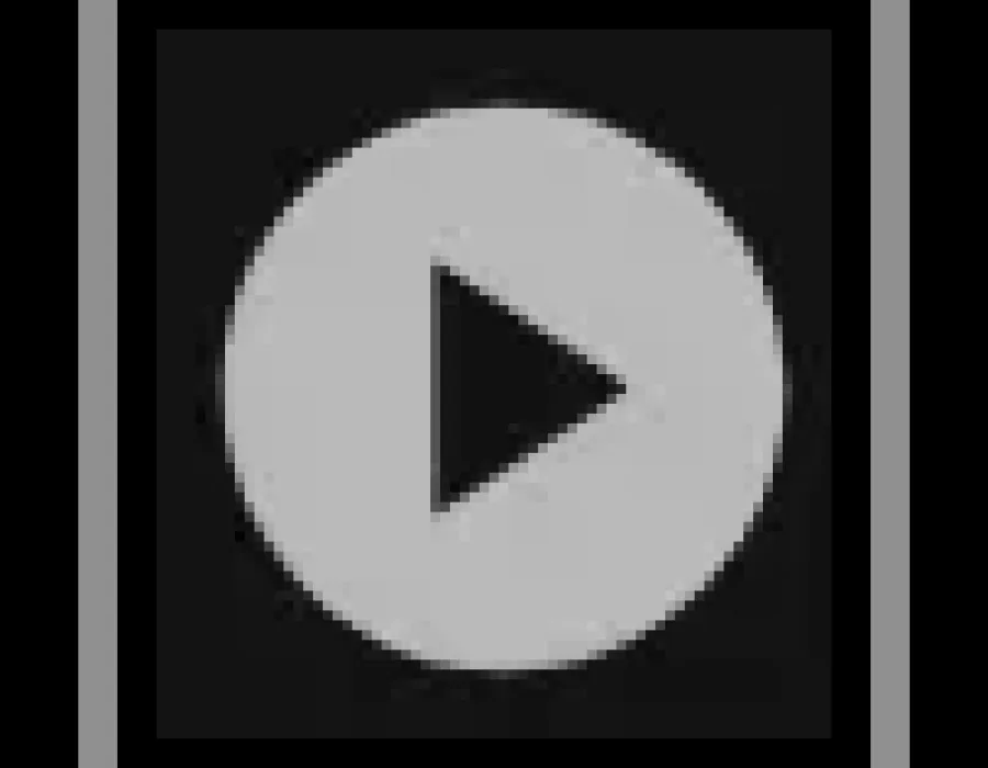 ui-icon_action-v4.webp