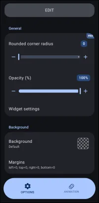 Application Widget Option Edit dialog Application Widget Option Edit dialog