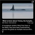 ui-widget-rss_reader-image.webp